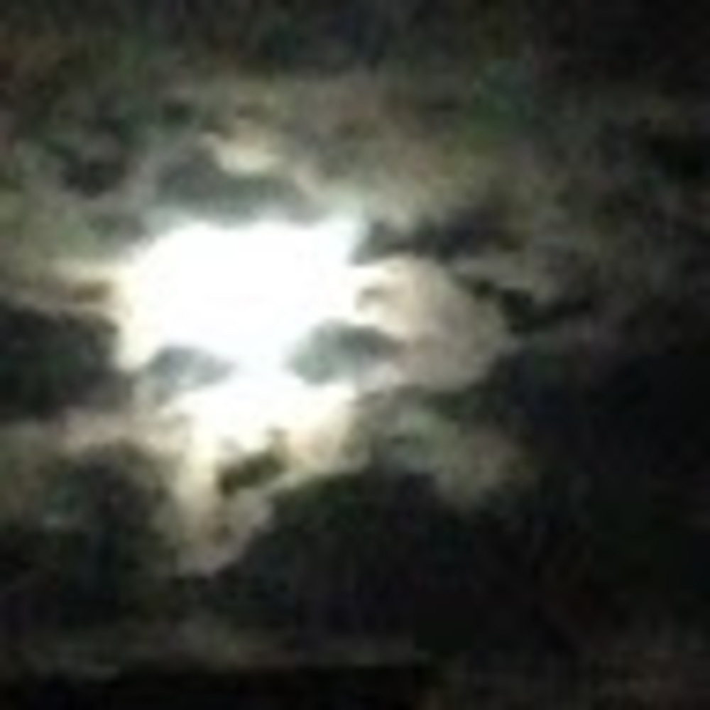 Meet your Posher, Kristin